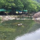 해누리약국 - 천안시 동남구 방죽안3길 19 | 해누리약국