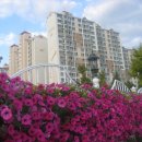 영풍아파트 이미지