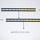 아이필안경 네이버블로그