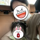대구 북구 칠곡3지구/동천동 &lt;이클린치과&gt; 영유아검진/임플란트 후기