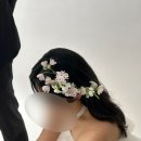 데이지플라워 이미지