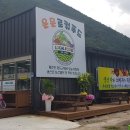 운문로컬푸드