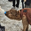 애니멀랜드 이미지