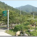 마마스펜션 티스토리