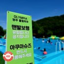 올림피아 수영장 이미지