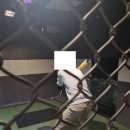 스트라이크존 화정로데오구장
