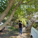 두실농장 이미지