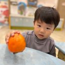 [🌱예쁜새싹] 오감동화 이야기~오! 감🧡 감 샐러드 만들기 이미지