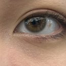 오렌즈 화정점 | 인생렌즈를 찾아서…오렌즈 스칸디 올리브