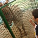 형우농장 이미지