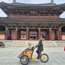 가족과 함께하는 문화체험(3월) | 부여 백제문화단지 전기어차 탄 후기