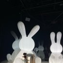 감산2목장 | 포토덤프 시즌2) 1주차_아르떼뮤지엄, 제주여행