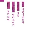 욜로 Daum카페