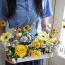 (주)스튜디오블룸 이미지