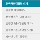 솔향기캠핑장 이미지