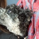 주식회사 지오디 이미지