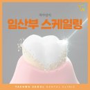 태화치과의원 | 임산부 스케일링 적절한 시기는 언제일까요?