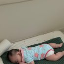 서하 카카오 검색결과