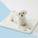 시온세탁 | 듀라론 100% 시온 강아지 쿨매트 사용후기: 매년 여름 현관 타일에 눕던 반려견을 위한 선물