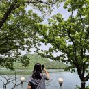반교돌담민박 이미지