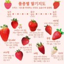 딸기PC방 이미지