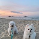 오션투유 리조트 이미지