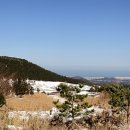 한울누리공원에서 내려다본 노루생이오름과 제주시내 이미지