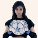 (주)적도 bnt뉴스