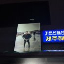 405-2-000036 | 제주 공항근처 맛집 추천 해산물 "일통이반" + 연동 "돌담흑돼지"🐷