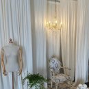 오에프티 이미지