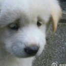 몽글몽글 이미지