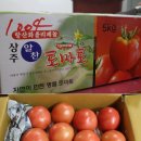 올리지니 | 농산물직거래쇼핑몰 논바테에서 김과 토마토 구입 후기