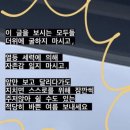 멋쟁이토마토