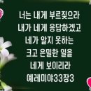 샬롬 Daum카페