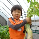 뽑기대장 이미지