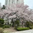 불정어린이공원 이미지