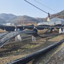 금산군청 이미지