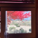 호운 | [경기도 이천] 생선구이와 이천쌀밥이 맛있는 한정식 맛집 호운 내돈내산 후기