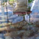 욱수 | 대구광역시 수성구 슬로우라이프 욱수 카페 방문 후기