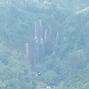 김형근농장 | 스리랑카 성지순례기 33, 고원(高原) 누와라 엘리야에서