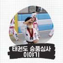 튼튼아이태권스쿨