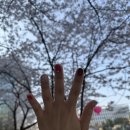 산본 꼼꼼한네일 리스네일N속눈썹 오로지푸스 산본역점 이달의아트 후기