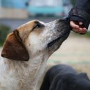 인천농장 이미지