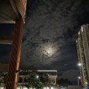 영통9 정형외과의원 이미지