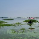 난정낚시터 이미지