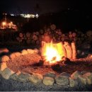 반도스파인 이미지