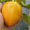 팔거리농장 이미지