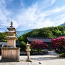 동부산악권 투어 2 이미지