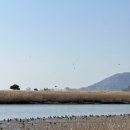 순천만 뜰 이미지