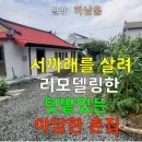 까치부동산중개사무소 이미지